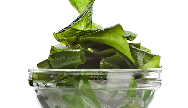 10 facts about seaweed